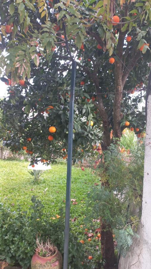 הוילה Perais Casa Dos Gansos מראה חיצוני תמונה