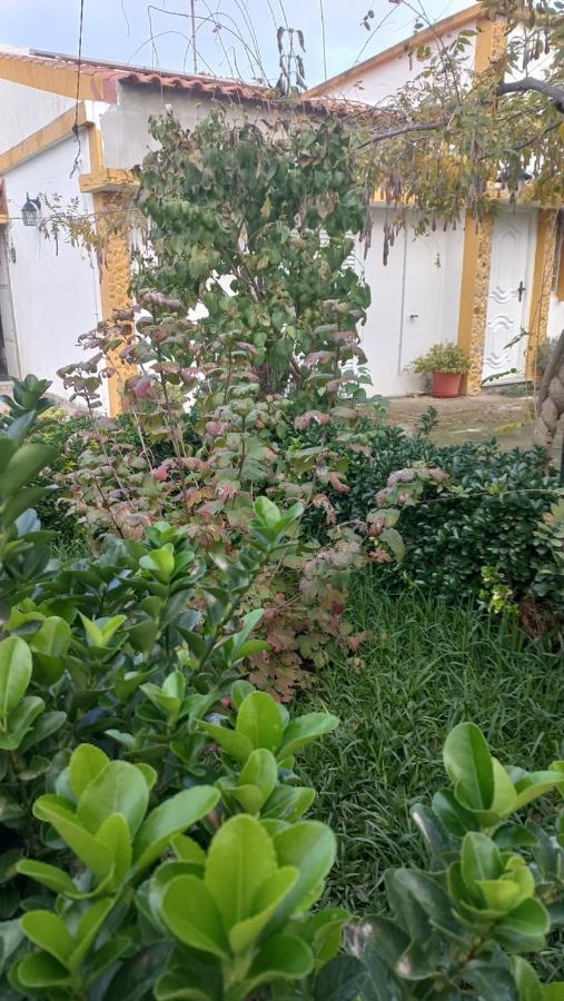 הוילה Perais Casa Dos Gansos מראה חיצוני תמונה